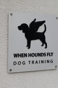 sign outside When Hounds Fly, a dog trainer, located here at 2010 Yonge St, Lower Level inside SAGE, TalkCondo Ltd, Toronto