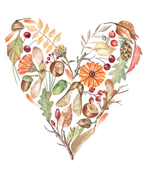 Autumn heart shaped composition made of twigs, leaves, flowers, maple seeds, berries, chestnuts, pinecone, and acorns. Beautiful botanical heart for art prints, stickers, scrapbooking
