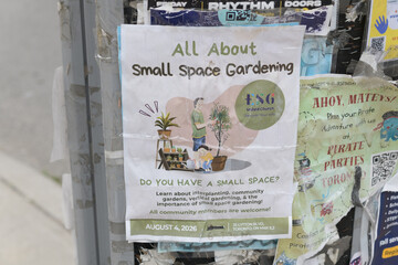 Fototapeta premium old cute grungy street posters in Toronto (All about Small Space Gardening)