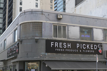 Fototapeta premium exterior building facade and sign of Fresh Picked, a grocery store, located at 579 Yonge St, Toronto