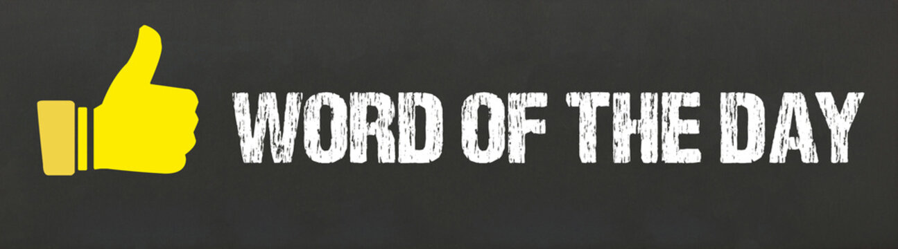 Word of the Day	
