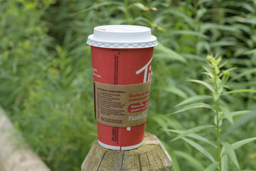 Fototapeta premium discarded Tim Hortons beverage cup on a post along a trail in the woods, Toronto