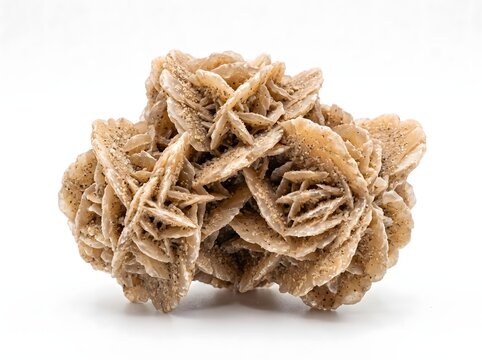 Desert rose selenite mineral cluster rests on a white surface
