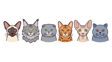 Fototapeta premium Vector illustration featuring six distinct cat breed heads including Siamese, Maine Coon, Scottish Fold, Ginger Tabby, hairless Sphynx, and British Shorthair isolated on white.