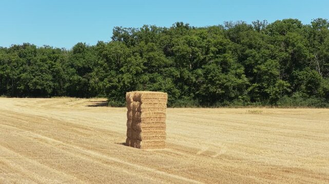 A stack of rectangular hay bales stands in the middle of a harvested wheat field under a clear blue sky, with a dense line of green trees in the background.