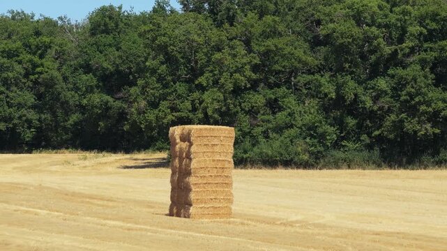 A tall stack of rectangular hay bales stands alone in a recently harvested golden field, bordered by dense green forest under clear summer skies.