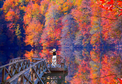 Autumn forest landscape reflection on the water with wooden pier - Autumn landscape in (seven lakes) Yedigoller Park Bolu, Turkey