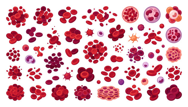 Vector pattern illustration of red blood cells, white leukocytes, platelets, and microscopic hematology elements for medical, health, and scientific biology designs.