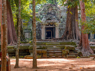 Fototapeta premium Tree growing over ruins - Ta Prohm temple ruins hidden in jungles at Angkor Wat - Wall carving with woman famous Angkor Wat complex, Siem Reap, Cambodia