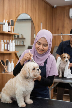 Young muslim woman wearing a hijab professionally grooming a Shih Tzu dog in a modern pet salon, providing gentle brushing and care during a pet grooming session