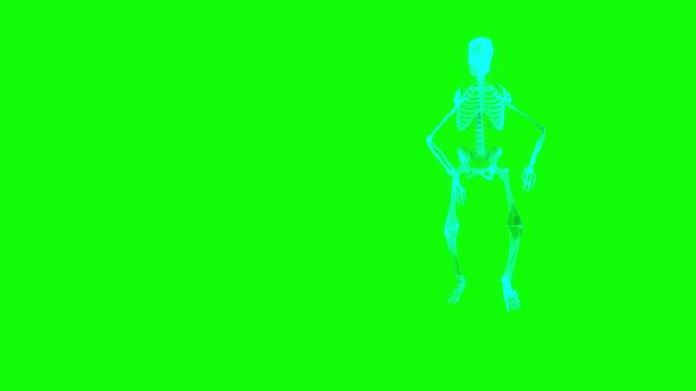 Single glowing skeleton executes a robotic strut on an isolated green screen backdrop in a 3D animation clip ready for keying and visual compositing