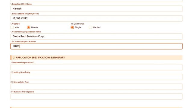 Online Business Visa Application Form Graphic Animated Corporate Travel Portal Data Entry Screen