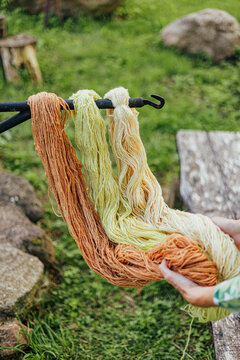 Skeins of wool yarn in warm brown, pale yellow and cream tones hang from a metal rod while a person handles the fibers outdoors in a rustic natural setting