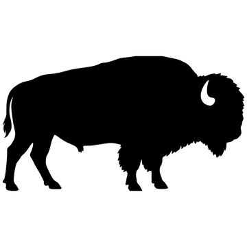 American bison silhouette, buffalo vector illustration for logo design, wild animal outline icon, wildlife graphic, minimalist black and white shape, herbivore symbol for branding and print