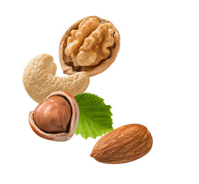 Cashew nut, hazelnut, almond, walnut and green leaf isolated on white background. Real photography