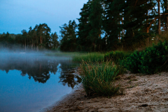Dichter Morgennebel am Ufer eines ruhigen Sees in Schweden