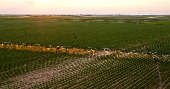 Agricultural irrigation system watering a green farm field at sunset aerial view