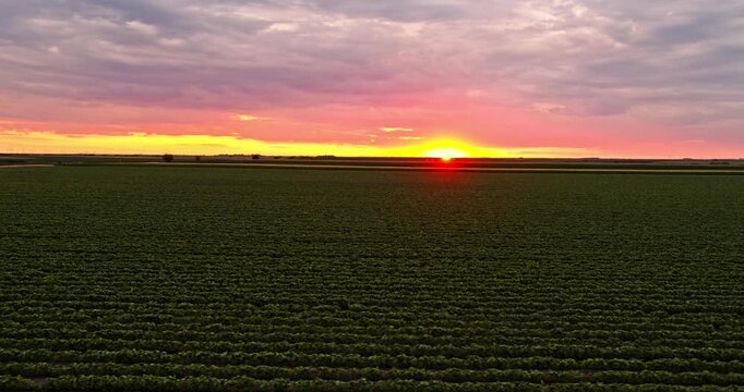 Aerial view of sun setting over a vast agricultural field with dramatic sky