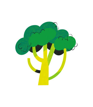 Broccoli Invisible Background Spot Illustration Pencil Texture 