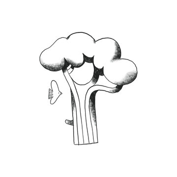 Tree and Bird Icon Spot Illustration Hand Drawn Pencil Texture Illustration