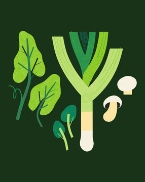 Leek Leaves Mushrooms Recipe Illustration Cook Book Hand Drawn Texture 