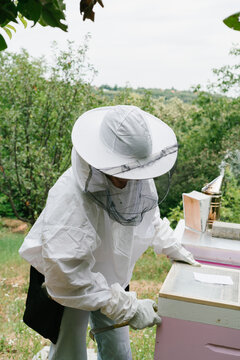 Apiculture