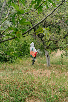 Apiculture. Female bee keeper at her eco farm
