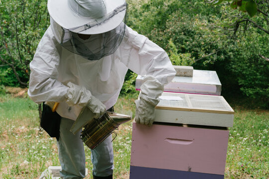 Apiculture. Female beekeeper inspects her bee colony in colorful
