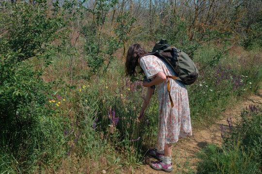 Woman with backpack picking wildflowers along a country path