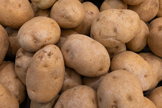 Freshly harvested organic potatoes piled in a rustic wooden crate bathed in warm natural light with earthy tones
