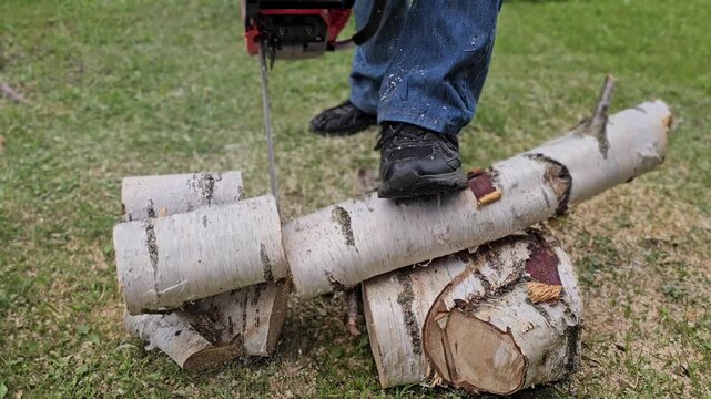 Cutting birch logs with a chainsaw while standing on stacked wood outdoors