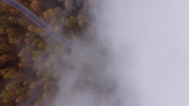Aerial view of winding road through dense forest partially obscured by thick morning fog in Cortina d'Ampezzo, Veneto, Italy.