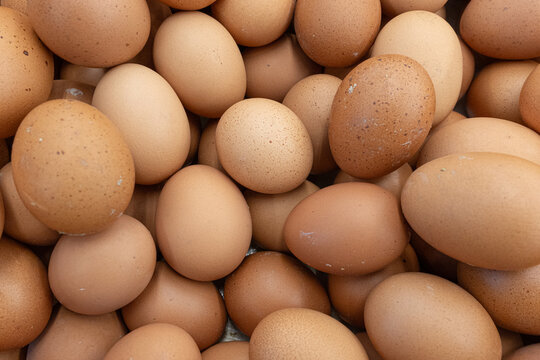 Abundant pile of fresh brown organic chicken eggs with natural light creating a warm and inviting natural food background