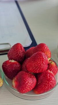 Strawberries examined under a microscope in a lab setting