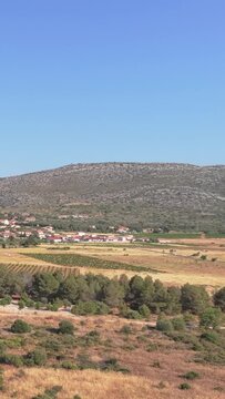 The countryside near Opoul Perillos, France, showing a small rural village surrounded by golden fields, vineyards, and scattered trees under a clear blue sky, aerial vertical 9:16 view.
