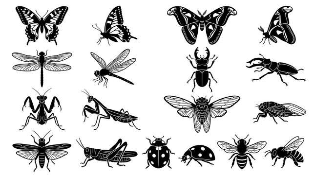 Insect and Butterfly Silhouette Collection