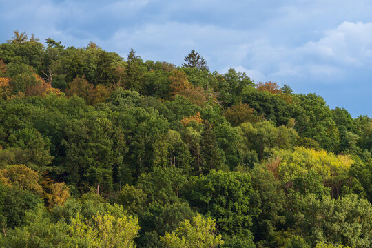 Wohnen nahe am Wald und hoch &uuml;ber Marbach
