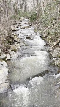 Winter mountain stream