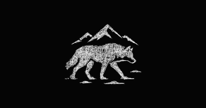 Sketch arctic wolf icon animation - smooth progressive reveal