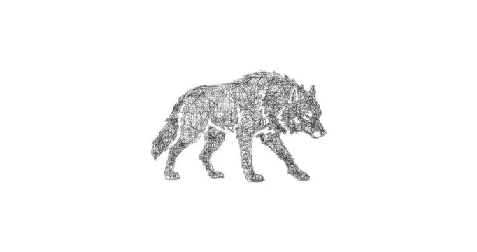 Sketch dire wolf icon animation - smooth progressive reveal