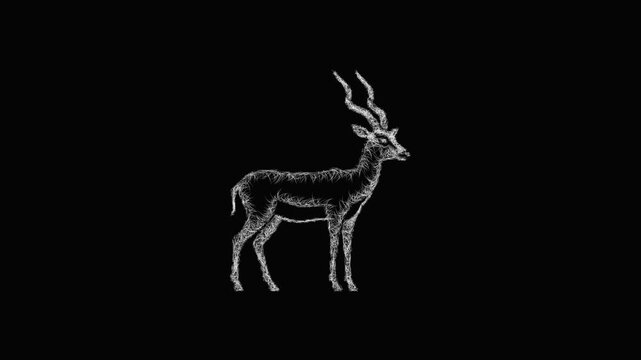Sketch impala icon animation - smooth progressive reveal