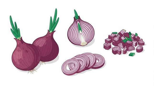 Red onion vector illustration set featuring whole raw onions with green sprouts, half cut, sliced onion rings, and chopped pieces on white background