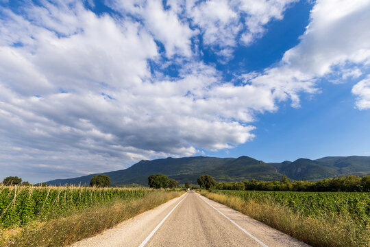 Scenic rural road passing between cultivated green bean fields with a mountain range and dramatic clouds in the background.