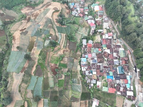 Aerial view of the village of Ciloto in Cipanas, featuring intricate terraced agricultural fields and dense residential rooftops nestled in the landscape of Cipanas, West Java, Indonesia.