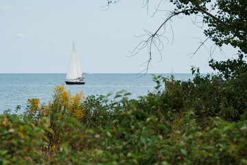 Sailboats on Lake Horizon Scenic Landscape © Stephen