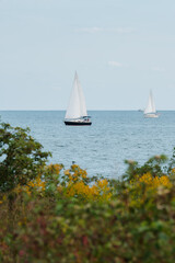 Sailboats on Lake Horizon Scenic Landscape © Stephen