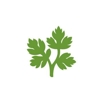 A minimalist green vector icon of a fresh sprig of parsley or cilantro leaves, set against a solid white background.