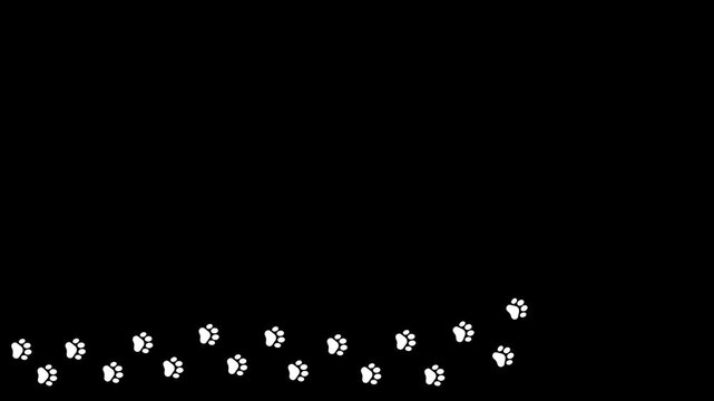 Animal paw prints. Comic funny paws along the path. Footprints walking animal on a trajectory of movement.