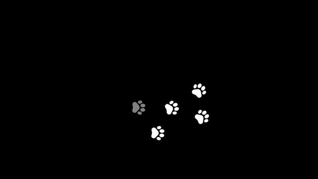 Animal paw prints. Comic funny paws along the path. Footprints walking animal on a trajectory of movement.