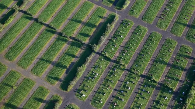 Aerial view of Gufunes Cemetery with rows of graves and green grass paths in Reykjavik, Reykjavikurborg, Iceland.